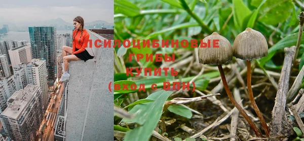 марки nbome Арсеньев