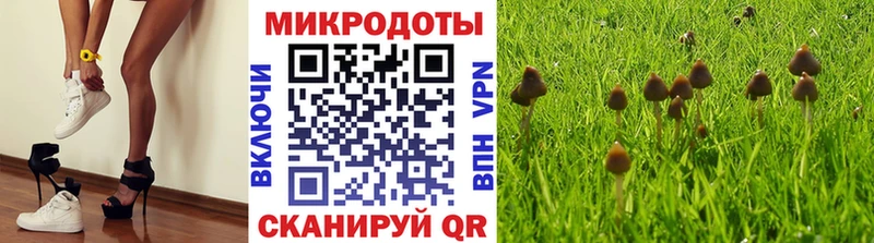 купить наркоту  Венёв  Галлюциногенные грибы Magic Shrooms 